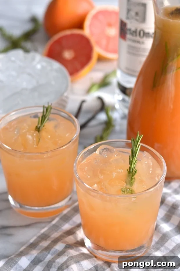 A beautiful glass of pink Superfood Frosé, elegantly garnished with a medley of fresh berries and a sprig of invigorating mint.