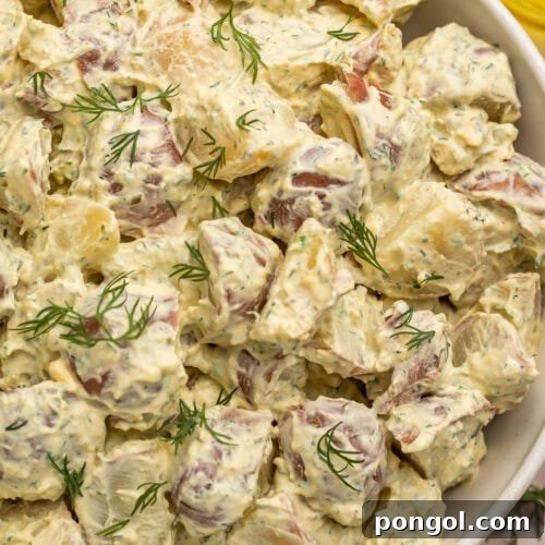 A vibrant, close-up shot of creamy red potato salad in a serving bowl, garnished with fresh dill.
