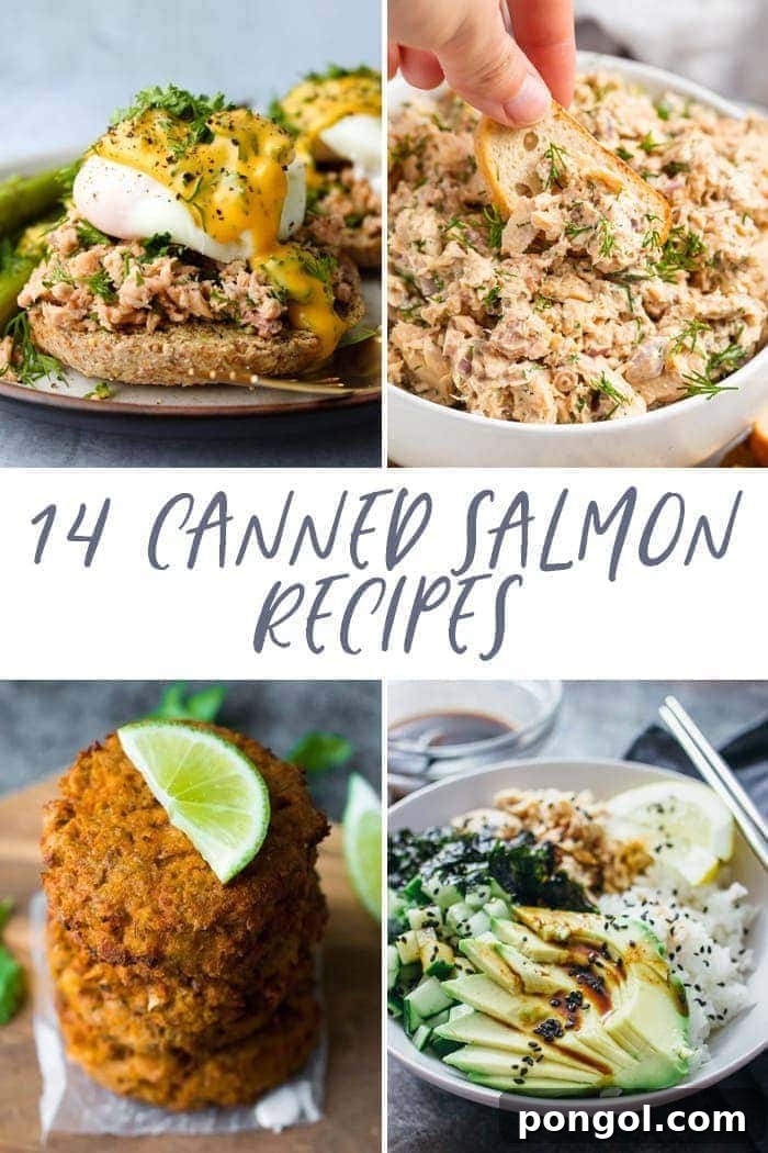 14 Delicious Canned Salmon Recipes 2 14 canned salmon recipes