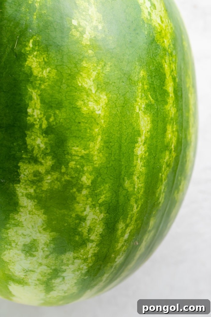 A vibrant, perfectly ripe whole watermelon, ready for cutting and enjoying.