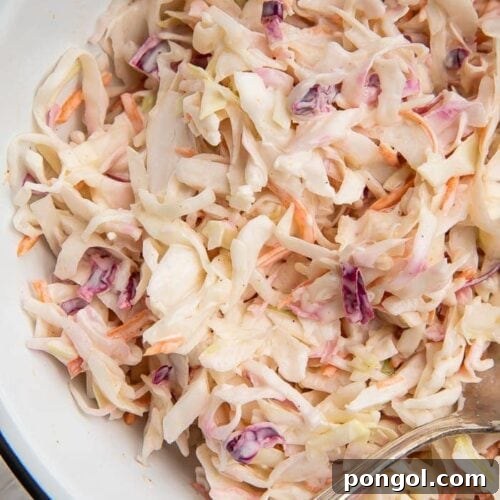 A beautifully plated bowl of keto coleslaw, showcasing its creamy texture and vibrant colors.