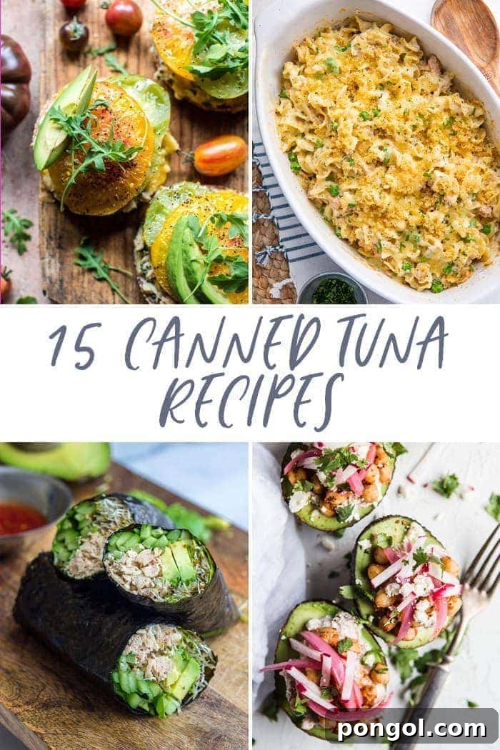 15 diverse canned tuna recipes displayed together