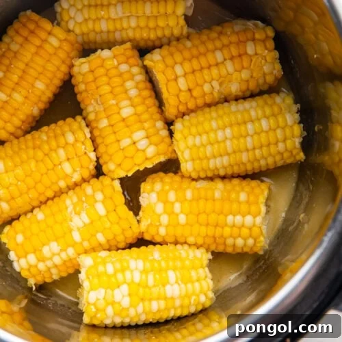 Corn on the cob in the Instant Pot.