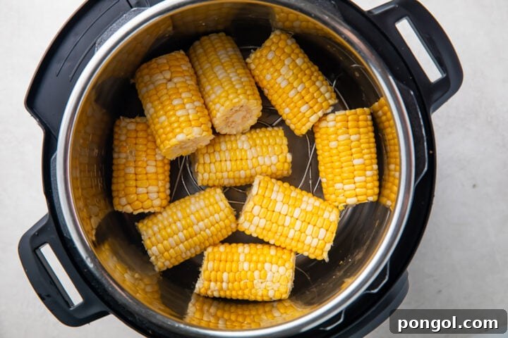 Instant Pot Honey Butter Corn Perfection 6 Corn cobs in the Instant Pot.