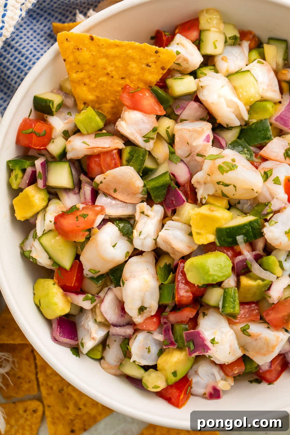 Vibrant Citrus Shrimp Ceviche 2 Overhead view of a bowl of easy shrimp ceviche with chunks of shrimp, red onion, cucumber, avocado, and tomatoes. Garnished with cilantro.
