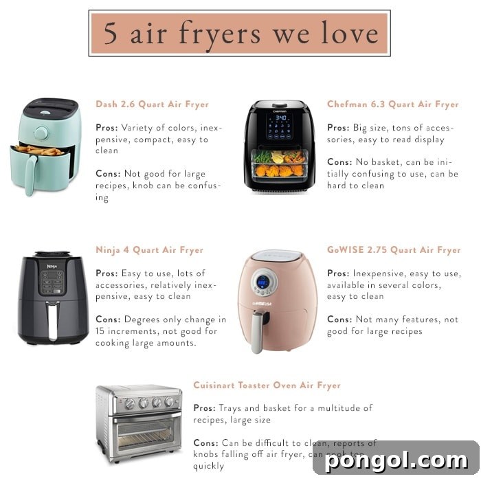 An infographic summarizing key features and benefits of air fryers