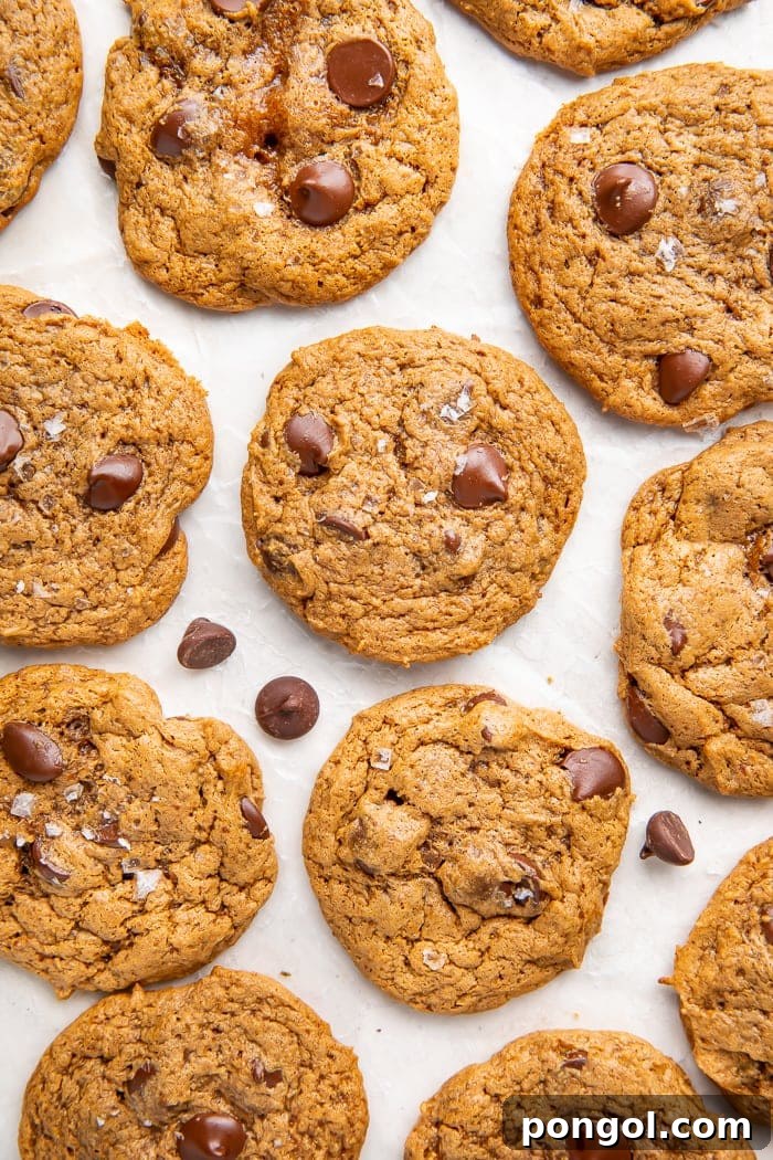 Freshly baked paleo chocolate chip cookies cooling on parchment paper on a baking sheet, golden brown and perfectly soft.