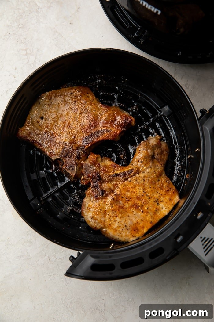A single uncooked pork chop, generously seasoned, resting in the basket of an air fryer, poised for cooking.