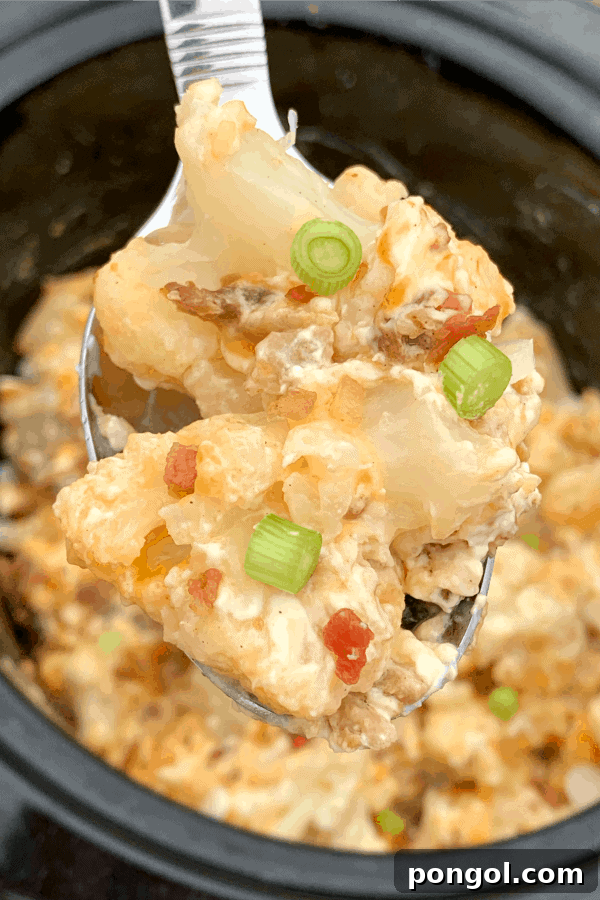 Tender 3 Ingredient Slow Cooker Mexican Shredded Chicken, perfect for meal prep.