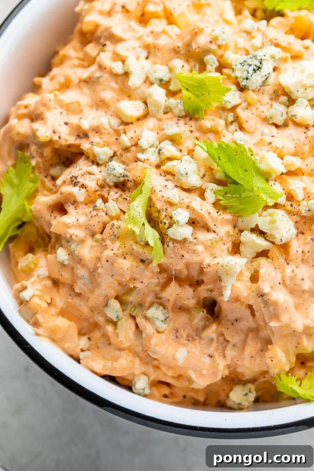 Adjusting the consistency of the Buffalo Chicken Salad by adding chicken broth.