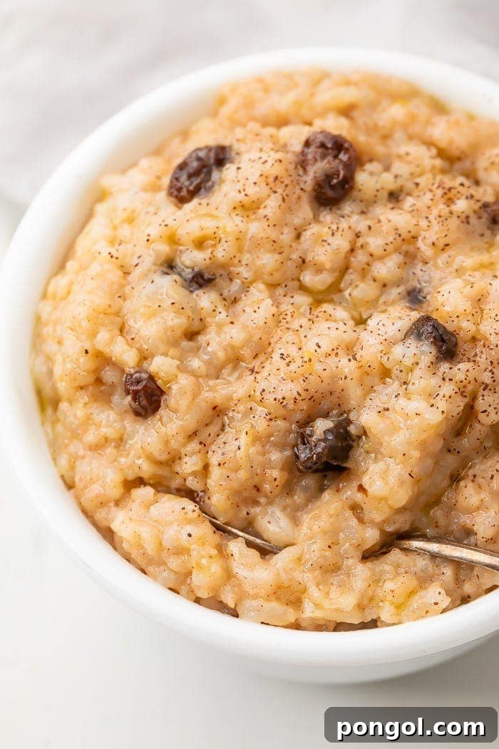 Overhead shot of a pristine white bowl filled with incredibly creamy rice pudding, beautifully garnished with golden raisins and a delicate dusting of cinnamon, with a small silver spoon resting invitingly beside it