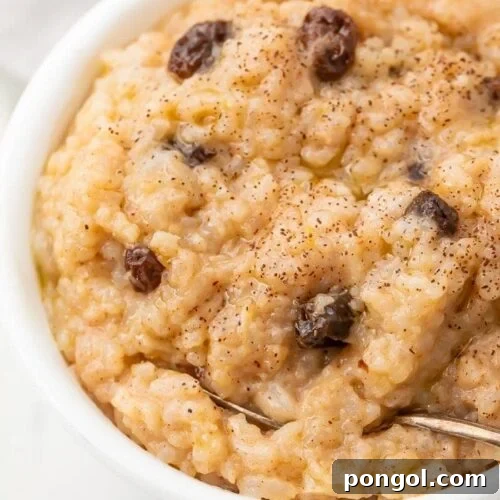 Close-up of a serving of Instant Pot Rice Pudding, sprinkled with cinnamon