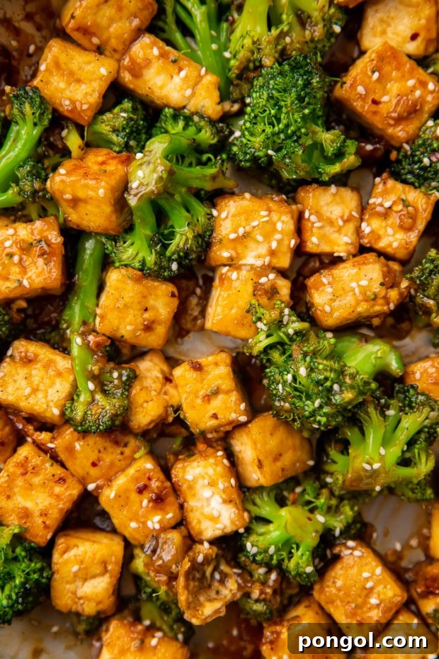 Finished tofu and broccoli stir-fry being tossed in sauce