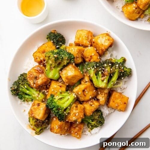 Tofu and Broccoli