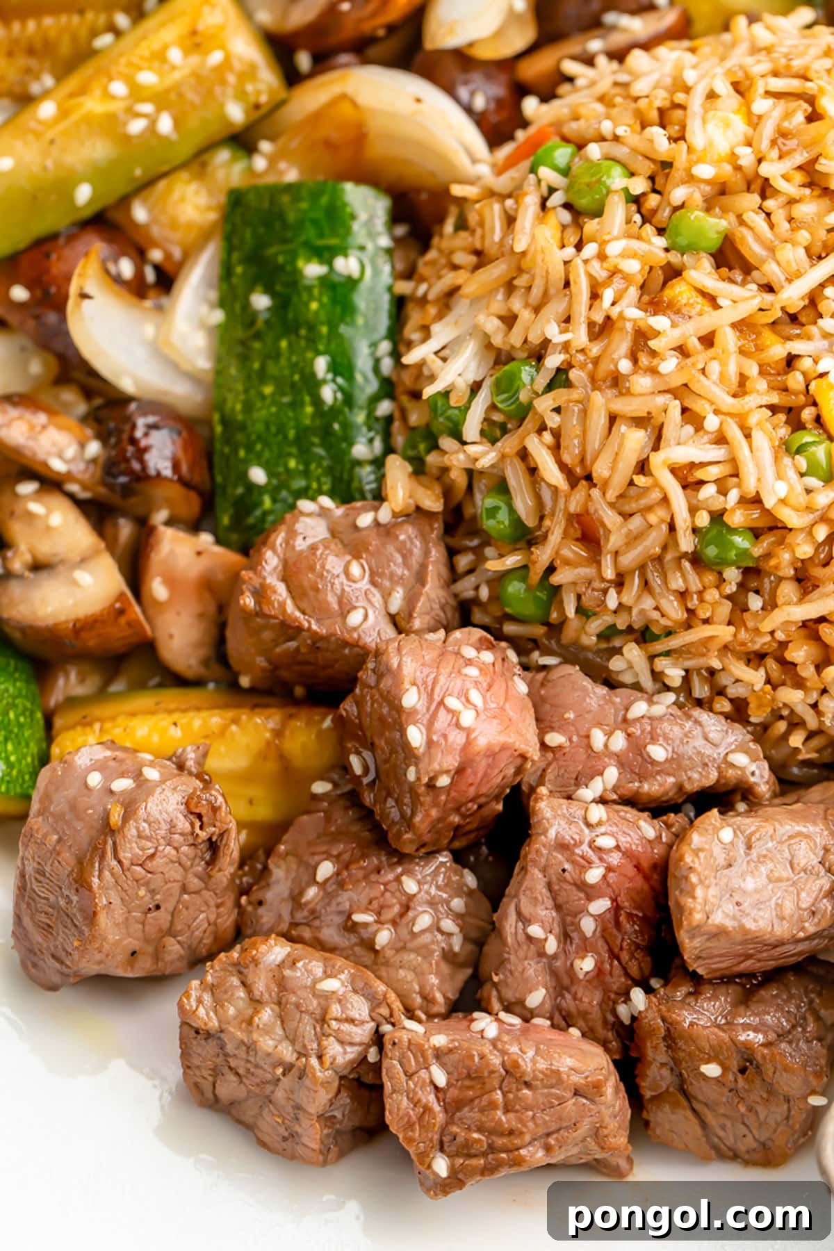 A close-up of tender hibachi steak garnished with sesame seeds, beautifully arranged on a plate with savory fried rice and fresh stir-fried vegetables.