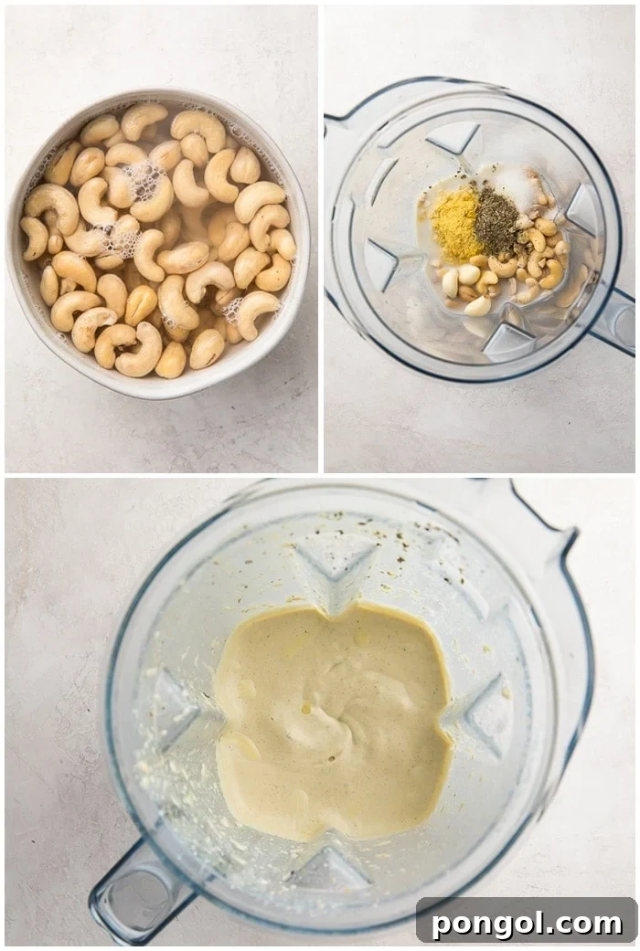 Instructions for vegan alfredo sauce