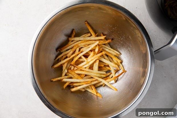 Step 5: Seasoning cooked air fryer fries.