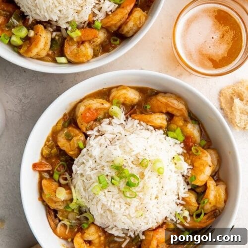 Cajun Shrimp Delight 4 Shrimp Etouffee in a bowl, ready to be served