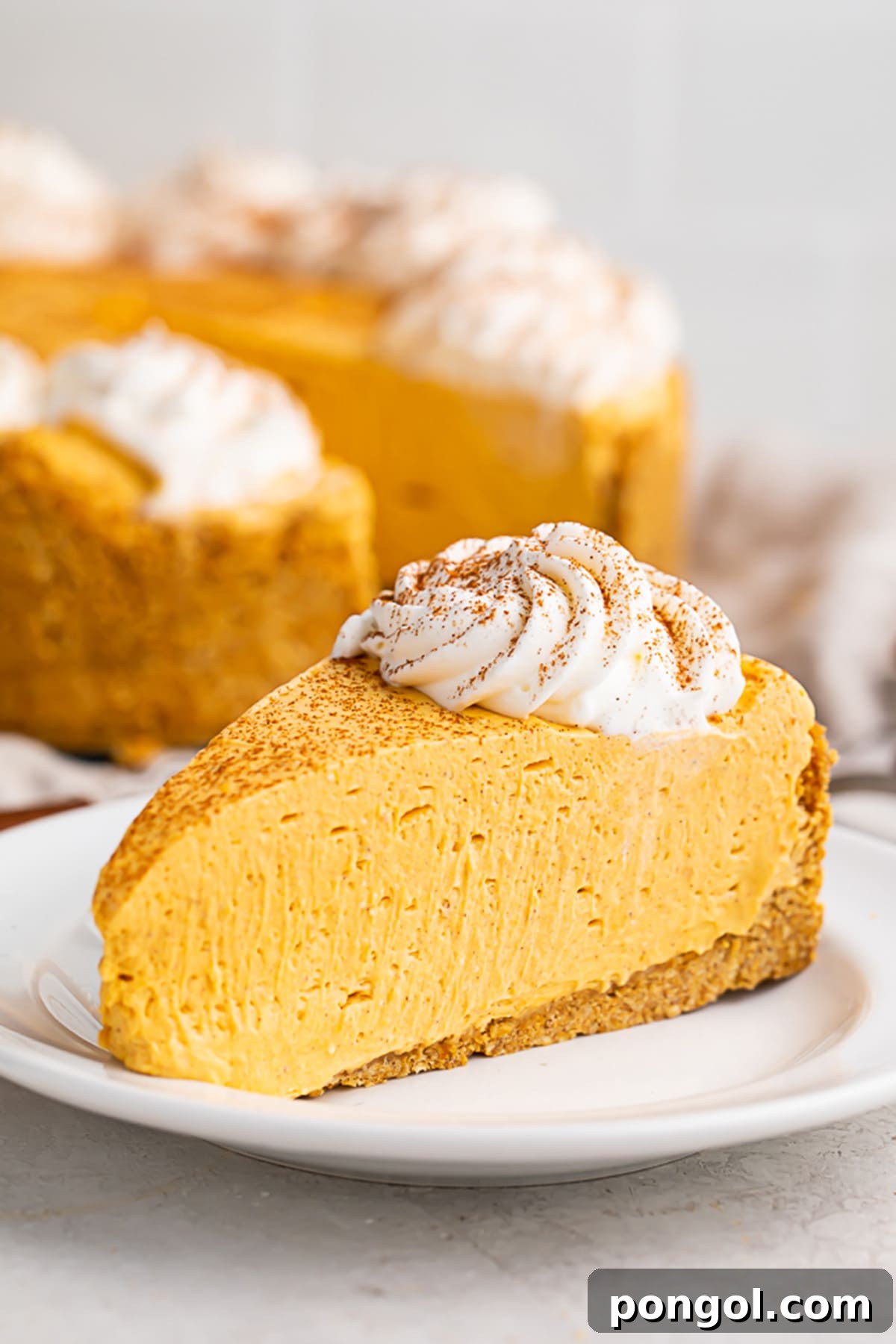 A slice of no bake pumpkin cheesecake topped with a dollop of whipped cream on a white plate, ready to be enjoyed.