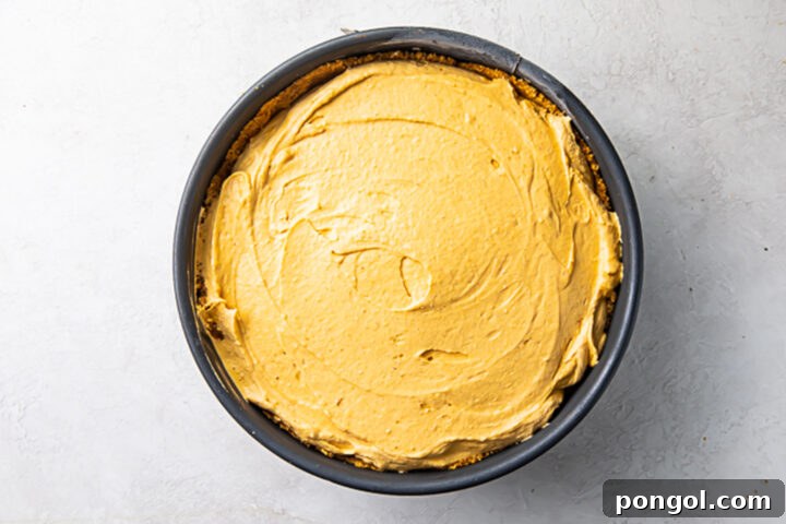 No bake pumpkin cheesecake in a 9-inch round metal springform pan, showing the smooth, orange filling ready to chill.