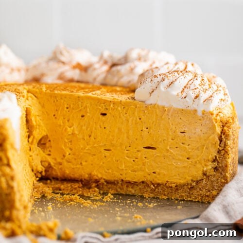 Side view of a no bake pumpkin cheesecake. One slice is missing, revealing the texture of the inside of the cheesecake.