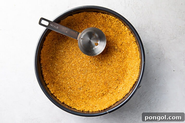 Gorgeous warm brown graham cracker crust for a cheesecake in a round 9-inch diameter springform pan, showing the perfectly pressed base.