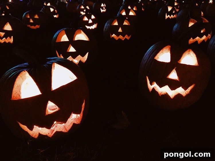 Lit up jack-o-lanterns in the night for a safe Halloween