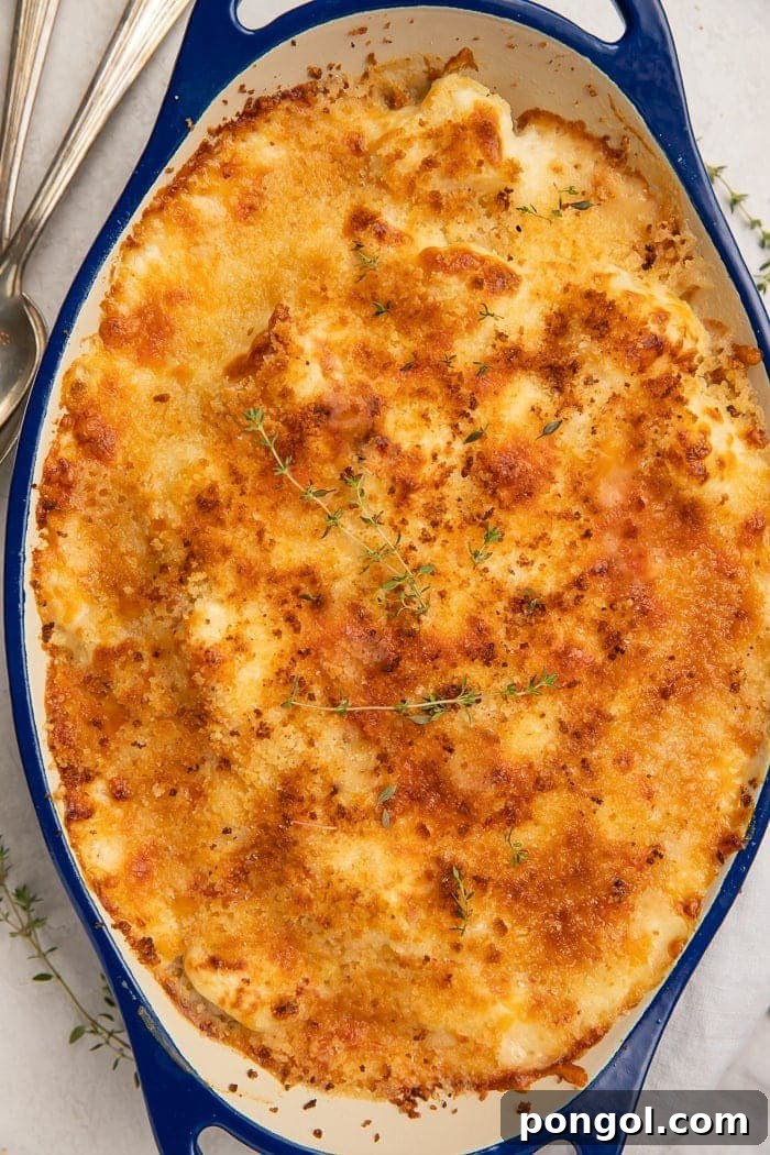 Cheesy Cauliflower Gratin 2 Overhead shot of golden-brown cauliflower au gratin in a white baking dish, rich with melted cheese and a crispy topping. Perfect for a holiday feast.