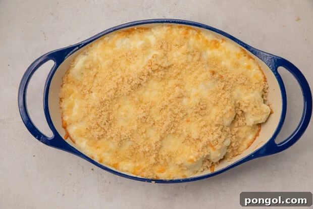 Cheesy Cauliflower Gratin 10 Step 5: The finished cauliflower au gratin, baked to golden perfection with a bubbly, crispy breadcrumb topping.