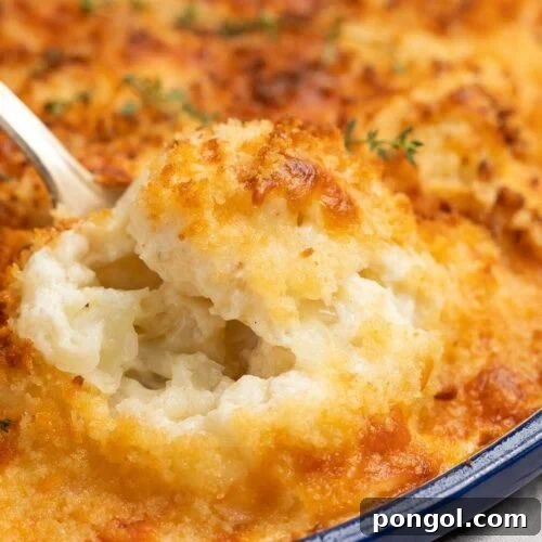 A close-up shot of a serving of cauliflower au gratin being lifted from the baking dish, highlighting its golden crust and creamy texture.