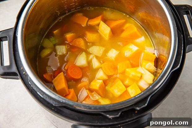 Instant Pot with butternut squash and broth