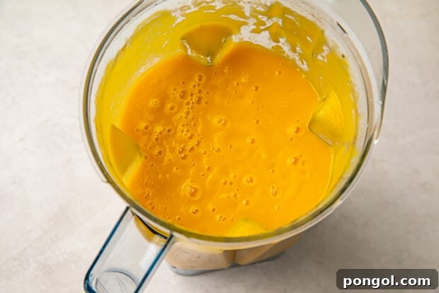 Blended butternut squash soup in a blender