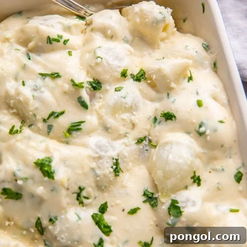 Creamed onions garnished with fresh herbs in a casserole dish.