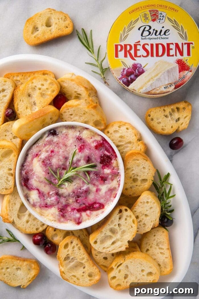 A serving tray with crackers and cranberry brie dip with a package of President Brie