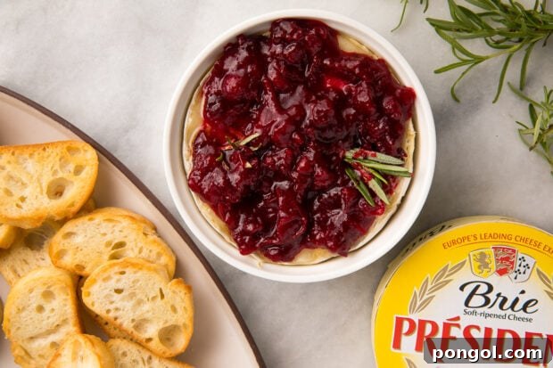 Cranberry Brie Dip with crostini and rosemary garnish