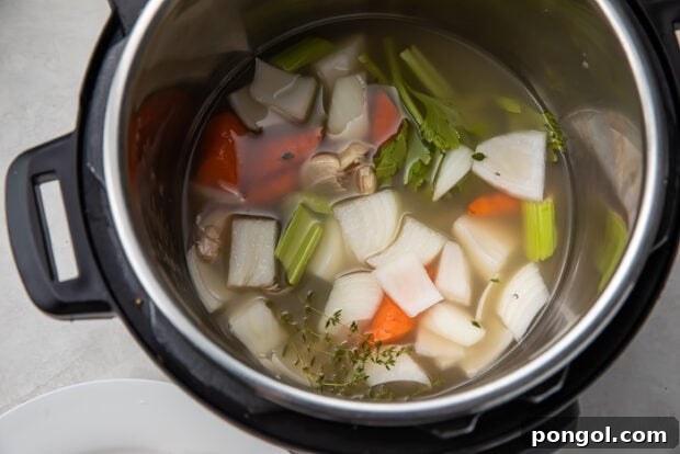 Aromatics and broth in Instant Pot with trivet