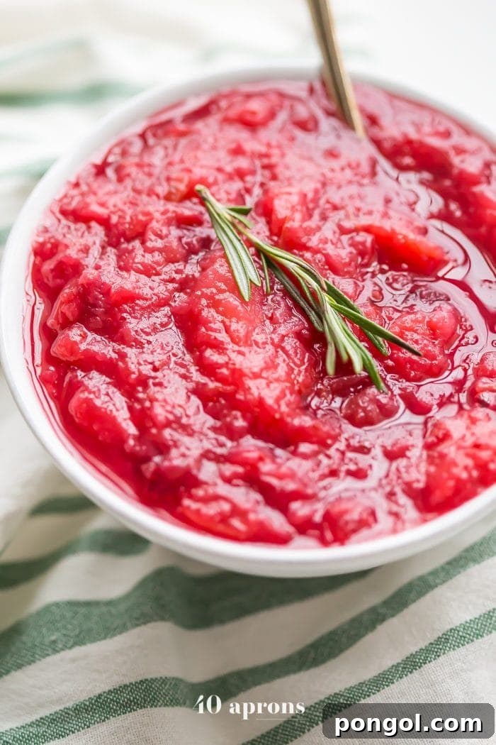 Stress-Free Thanksgiving: 19 Instant Pot Dishes 18 A bowl of vibrant Instant Pot Whole30 cranberry sauce with apples and rosemary, showcasing fresh cranberries and herbs, offering a naturally sweetened and healthy option.