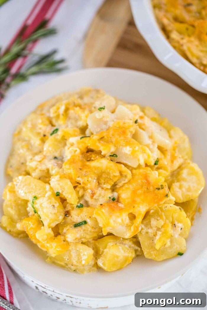 Stress-Free Thanksgiving: 19 Instant Pot Dishes 10 A generous serving of Instant Pot scalloped potatoes, layered with creamy sauce and golden-brown cheese, presented in a baking dish, promising a rich and satisfying side.