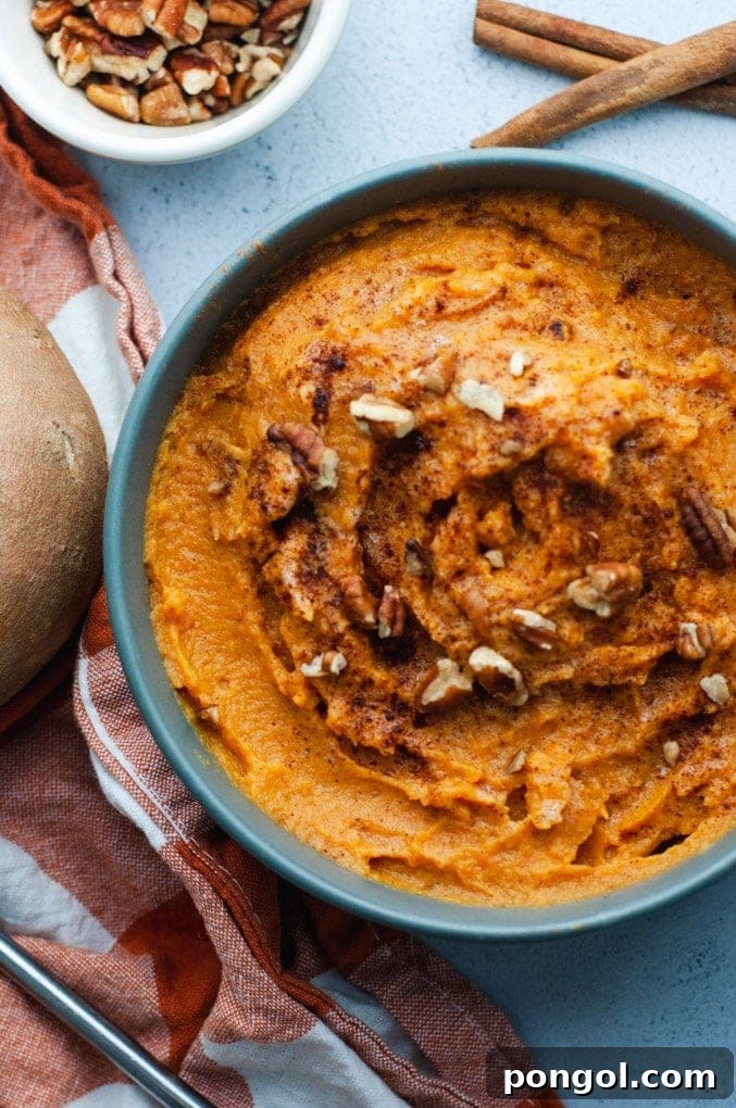 Stress-Free Thanksgiving: 19 Instant Pot Dishes 12 A serving of fluffy Instant Pot mashed sweet potatoes, topped with a pat of melting butter and a sprinkle of cinnamon, ready to be enjoyed.
