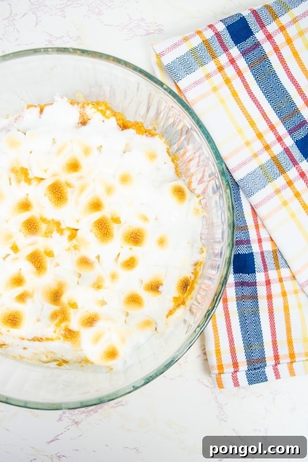 Stress-Free Thanksgiving: 19 Instant Pot Dishes 8 A decadent Instant Pot sweet potato casserole, topped with golden-brown marshmallows and pecans, promising a sweet and comforting side dish.