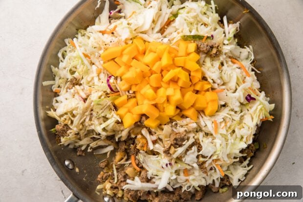Ground pork, coleslaw, mango, and coconut aminos in a silver saucepan