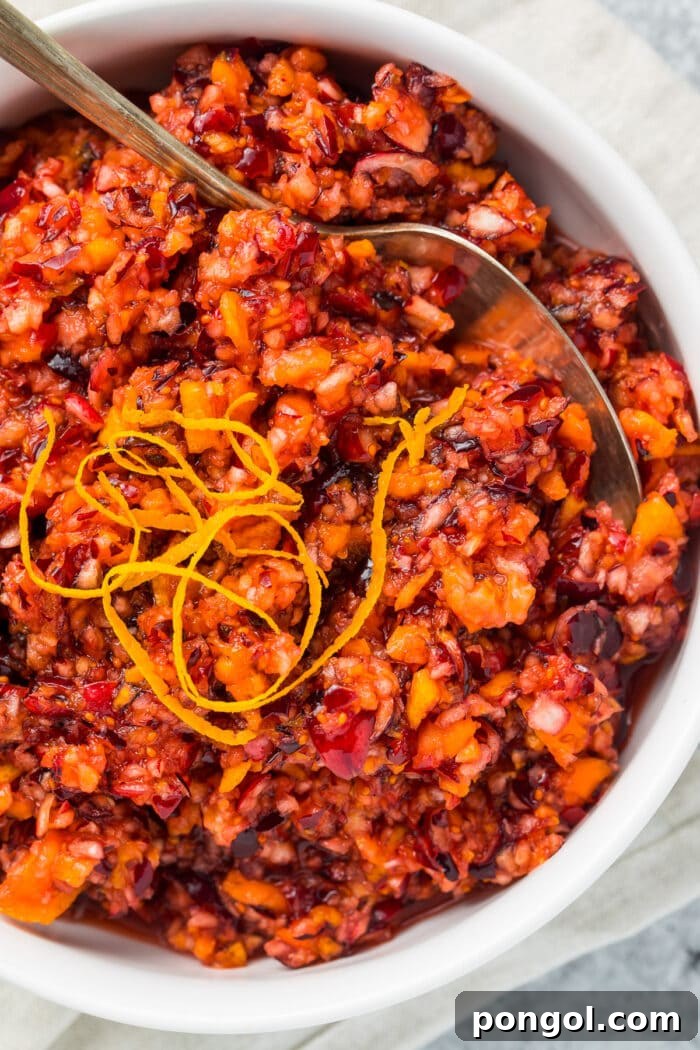 Zesty Cranberry Orange Relish 4 A close-up shot of the Cranberry Orange Relish, garnished with orange zest, emphasizing its fresh texture and vibrant colors.