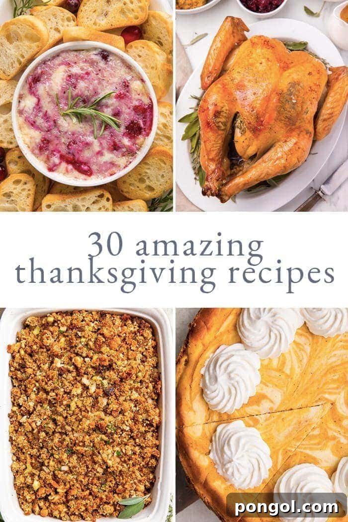 4 photo graphic with cranberry brie dip, roasted turkey, sausage stuffing, and pumpkin cheesecake and 30 amazing thanksgiving recipes