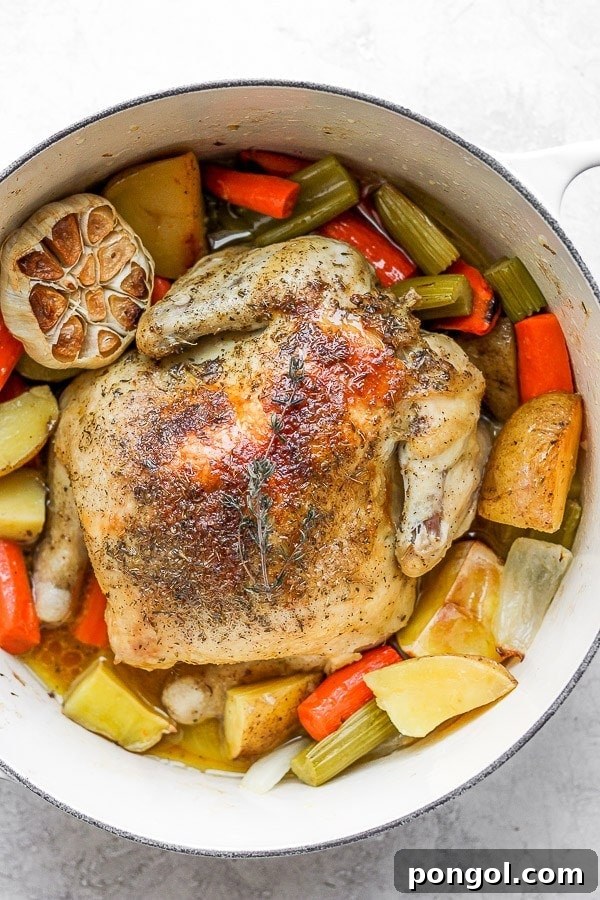Dutch oven with a whole chicken, garlic, and vegetables