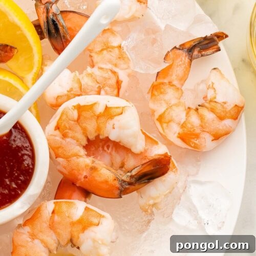 A close-up of poached shrimp arranged on a platter of ice next to a small dipping bowl of shrimp cocktail sauce.