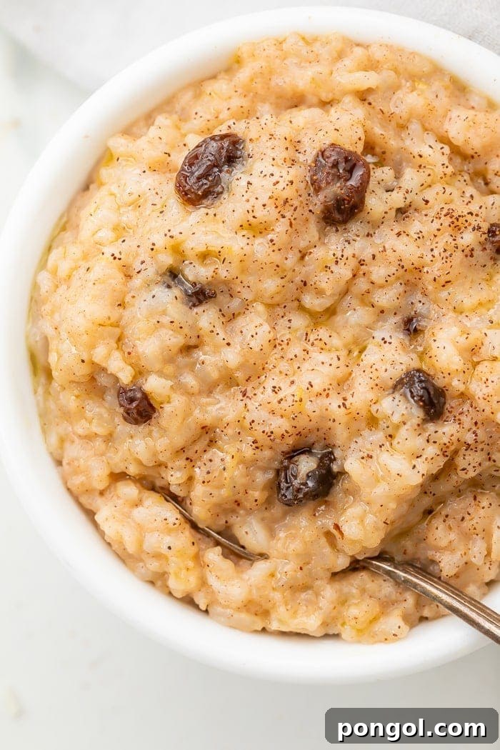 Vegetarian instant pot rice pudding with raisins in a porcelain bowl