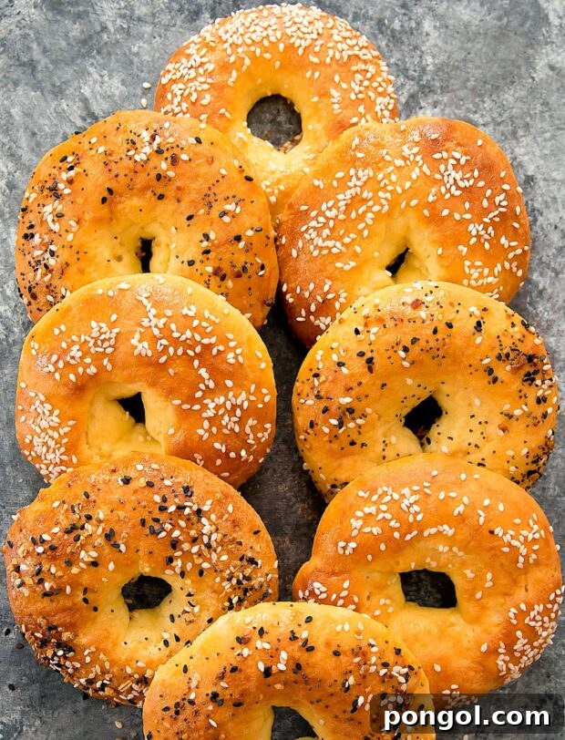 Eight golden-brown Keto Bagels topped with everything seasoning and sesame seeds.