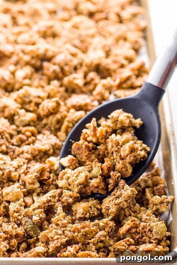 A sheet pan filled with golden-brown Low Carb Granola, with a black spoon resting inside.