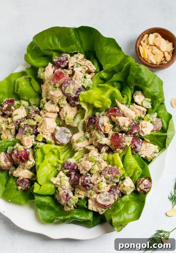 New Year, New You: 65 Satisfying Whole30 Meals 46 Whole30 chicken salad nestled in crisp lettuce cups on a pristine white plate.