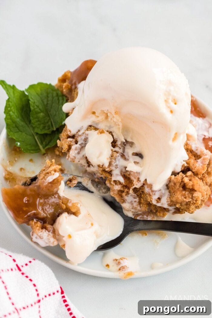 Vegetarian crock pot apple cobbler topped with vanilla ice cream